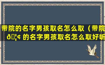 带院的名字男孩取名怎么取（带院 🦢 的名字男孩取名怎么取好听）